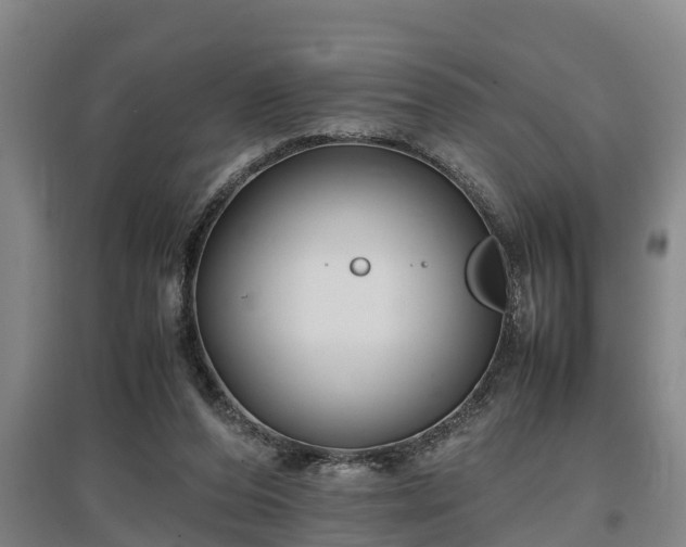 X0000097460208200802291244