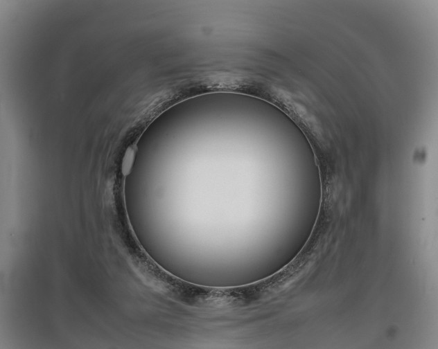 X0000097460209200802291244