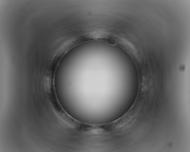 X0000097460210200802291244