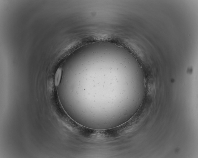 X0000097460211200802291244