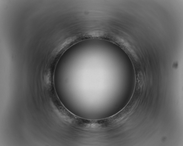 X0000097460212200802291244