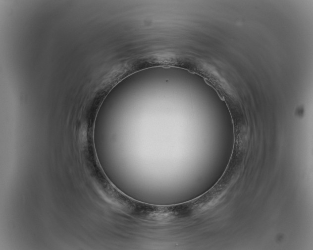 X0000097460213200802291244