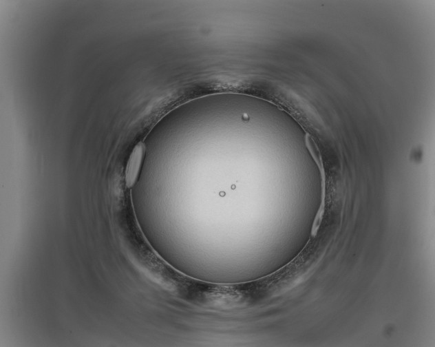 X0000097460215200802291244