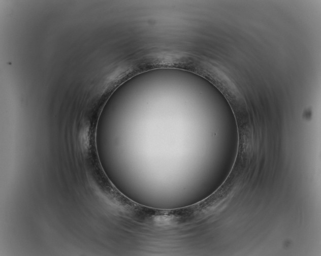 X0000097460216200802291244