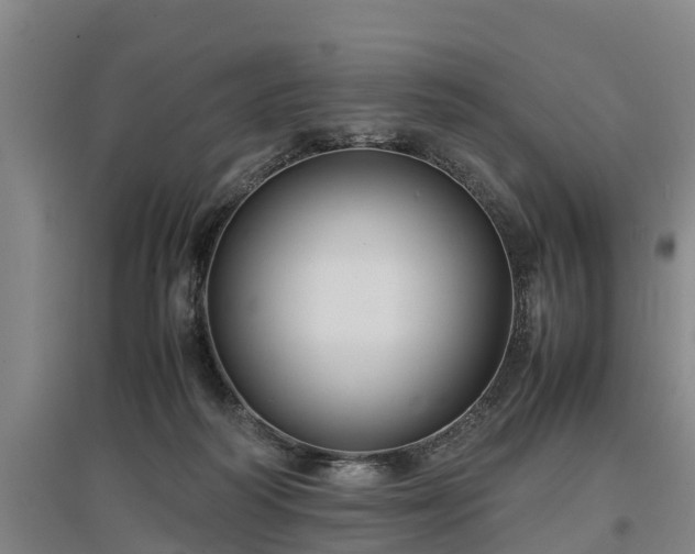 X0000097460218200802291244