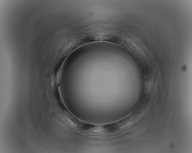 X0000097460219200802291244