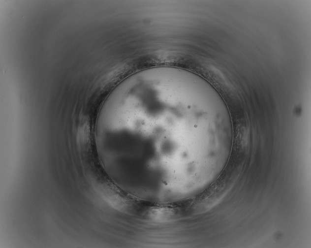 X0000097460220200802291244