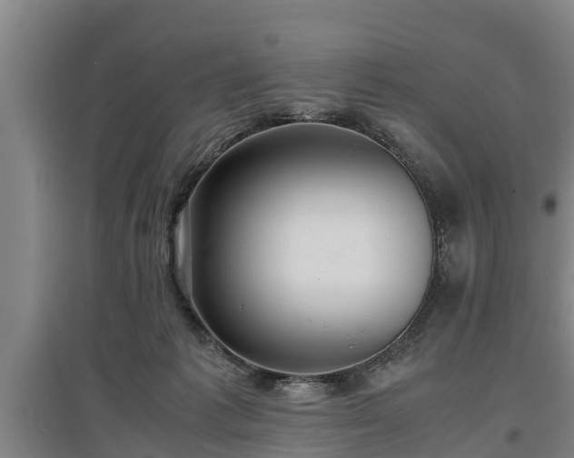 X0000097460221200802291244