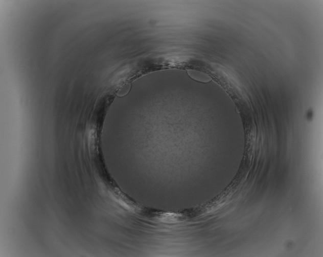 X0000097460222200802291244