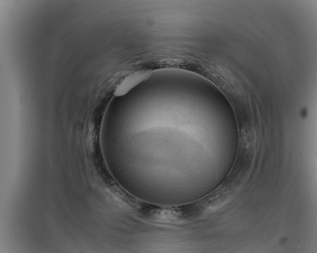 X0000097460223200802291244