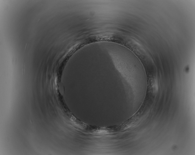 X0000097460224200802291243