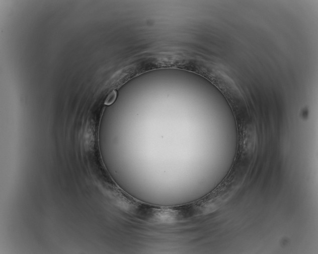 X0000097460226200802291243