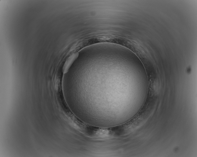 X0000097460227200802291243