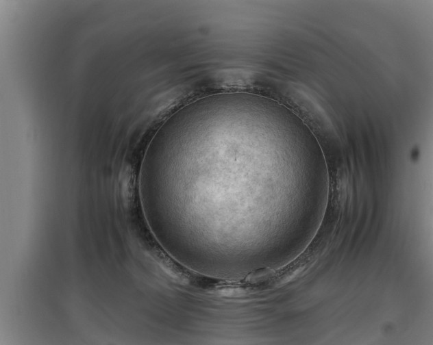 X0000097460228200802291243