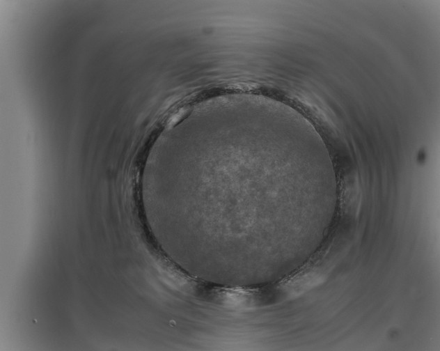 X0000097460229200802291243