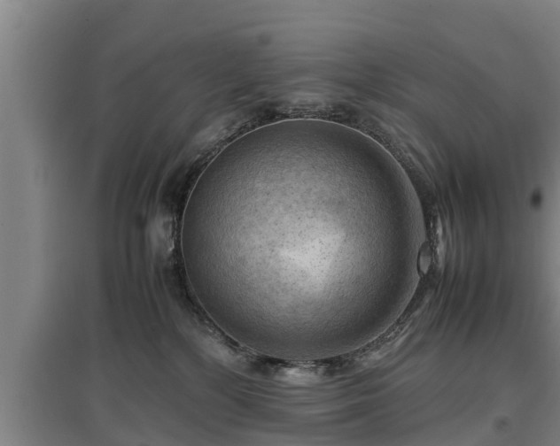 X0000097460232200802291243