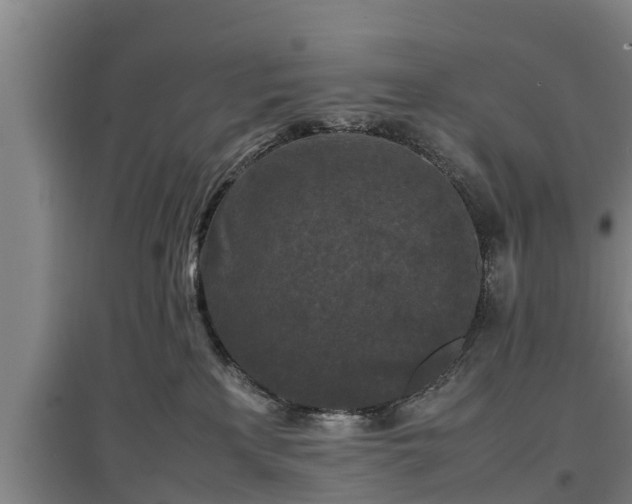 X0000097460233200802291243