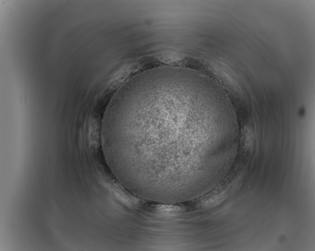 X0000097460234200802291243