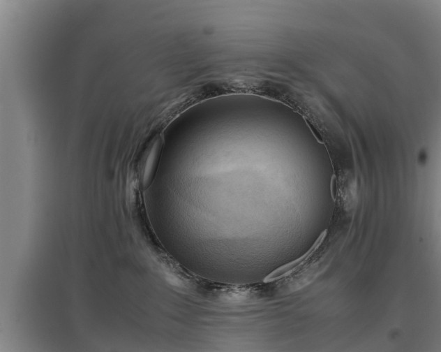 X0000097460235200802291243