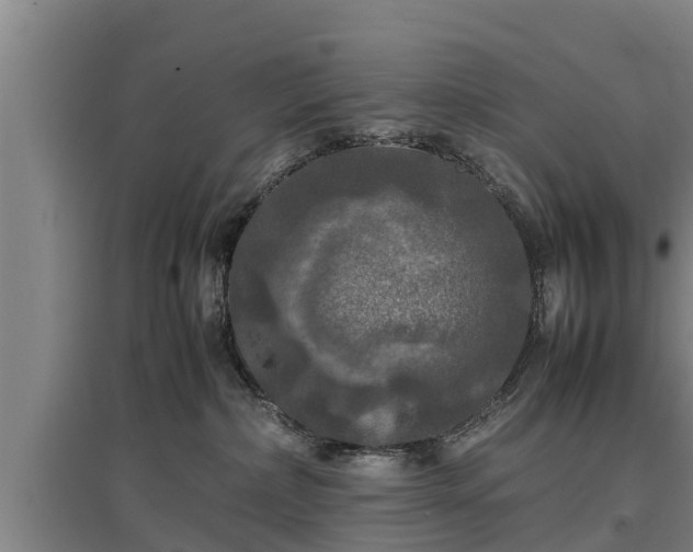 X0000097460236200802291243