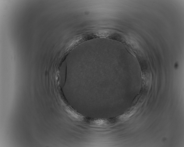 X0000097460237200802291243