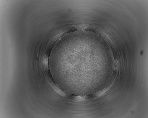 X0000097460238200802291243