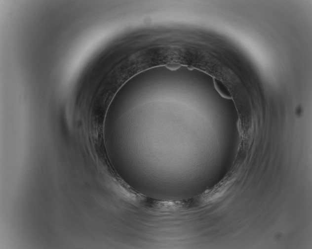 X0000097460239200802291243