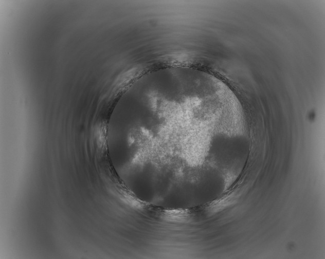 X0000097460240200802291243