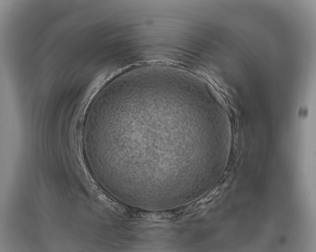 X0000097460241200802291243