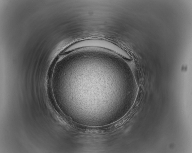 X0000097460242200802291243