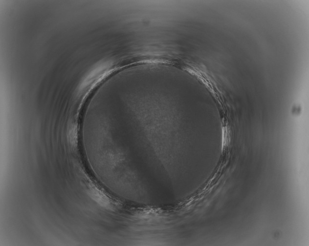 X0000097460243200802291243