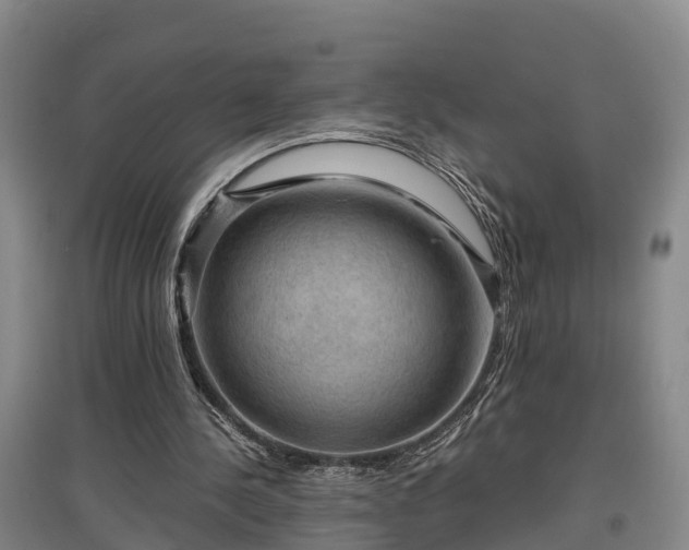 X0000097460244200802291243