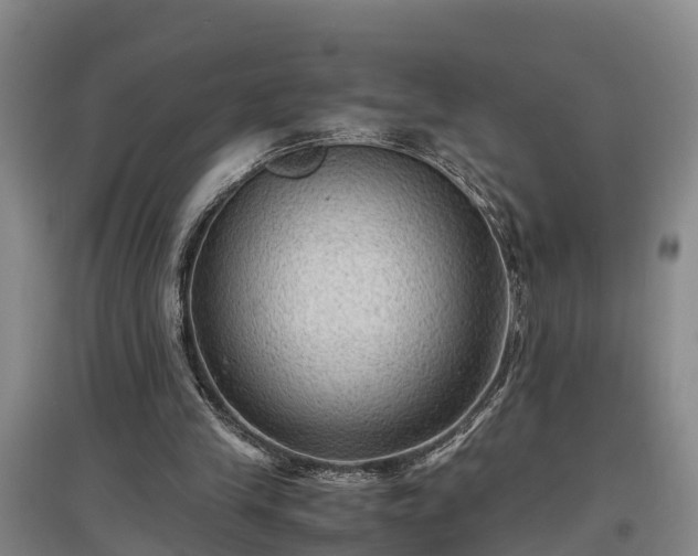 X0000097460245200802291243