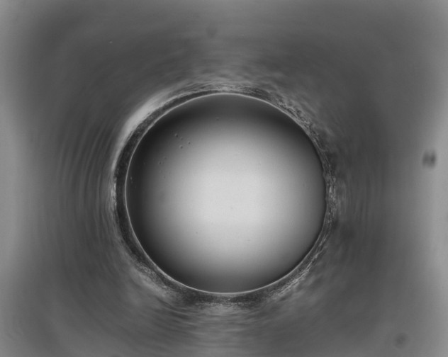 X0000097460246200802291243