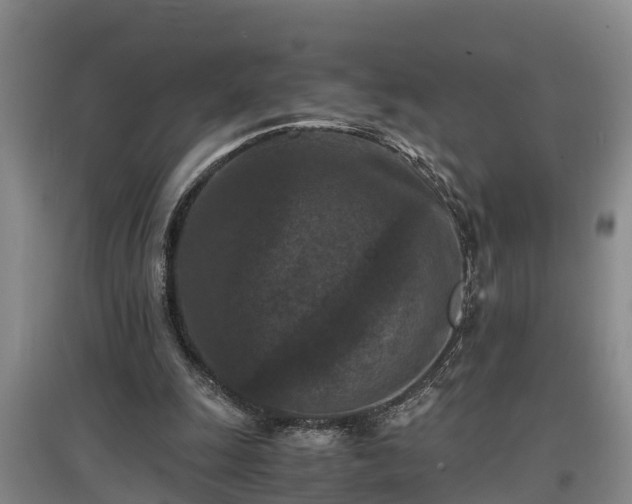 X0000097460247200802291243