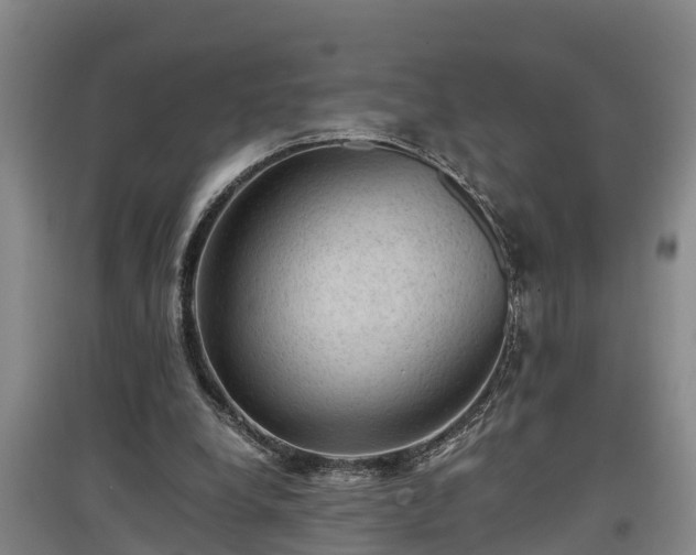 X0000097460248200802291243