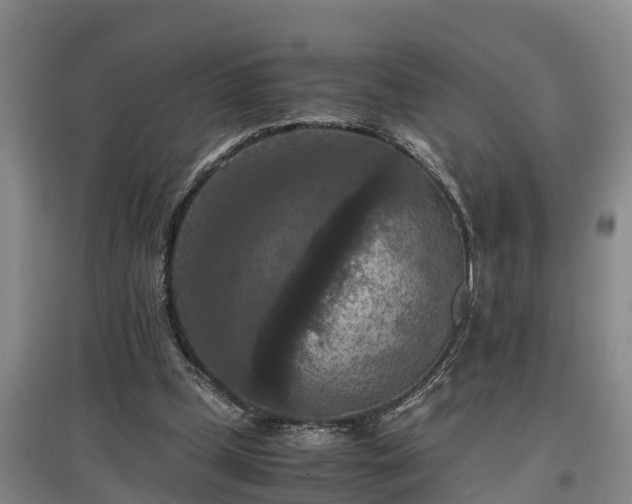 X0000097460249200802291243