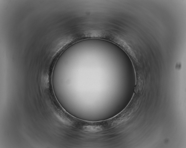 X0000097460251200802291243