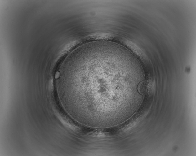 X0000097460254200802291243