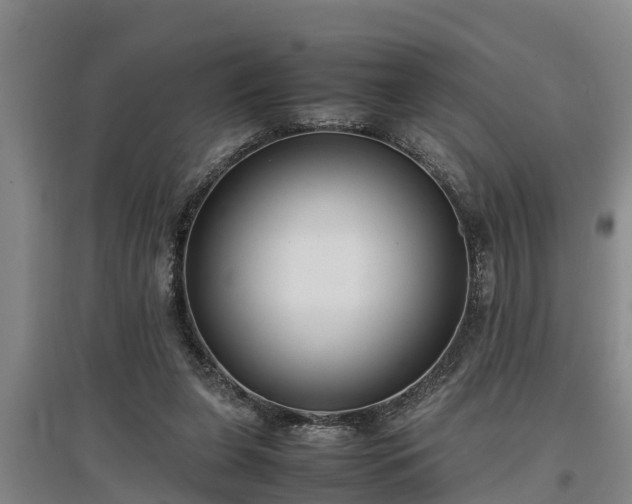 X0000097460255200802291243