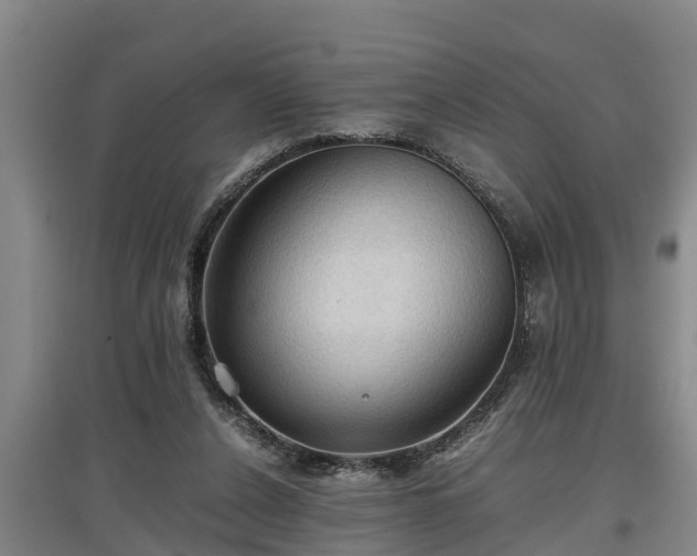 X0000097460256200802291243