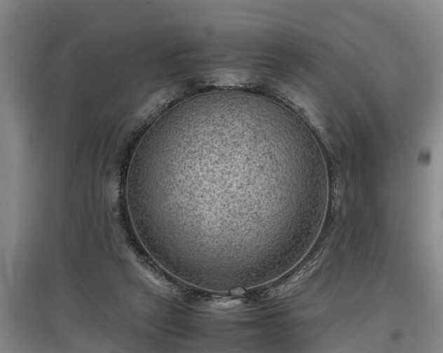 X0000097460257200802291243