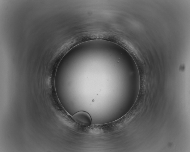 X0000097460258200802291243