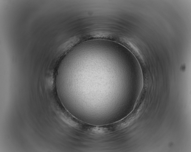 X0000097460261200802291243