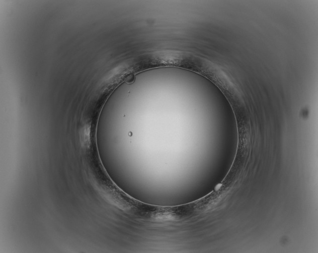 X0000097460262200802291243