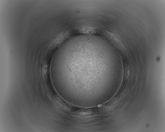 X0000097460263200802291243