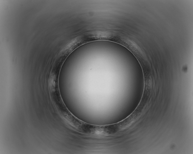 X0000097460264200802291243