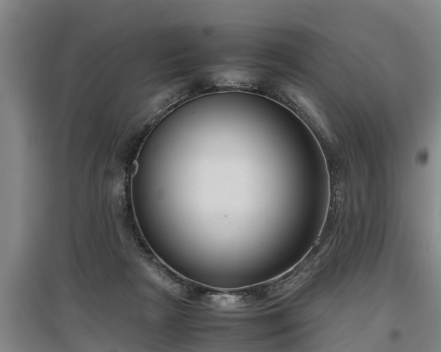 X0000097460265200802291243