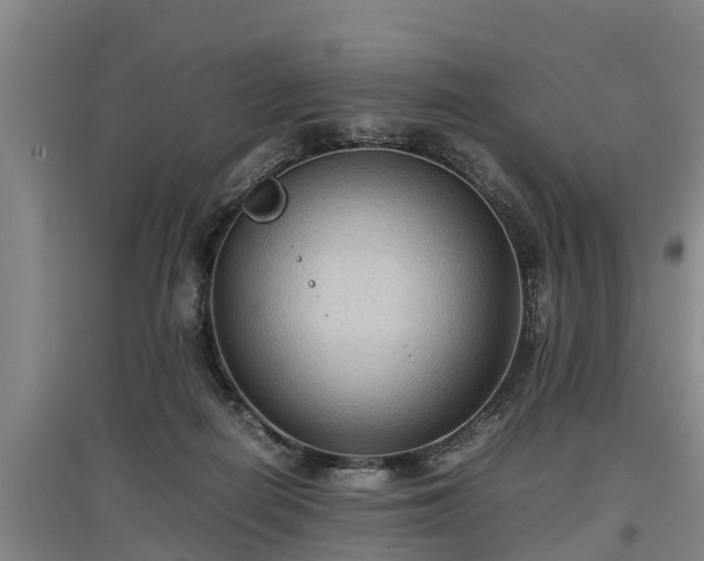 X0000097460266200802291243