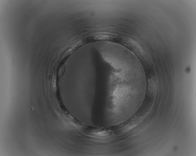 X0000097460267200802291243